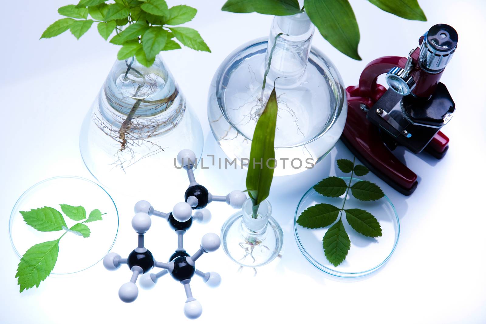 Chemical laboratory glassware, bio organic modern concept