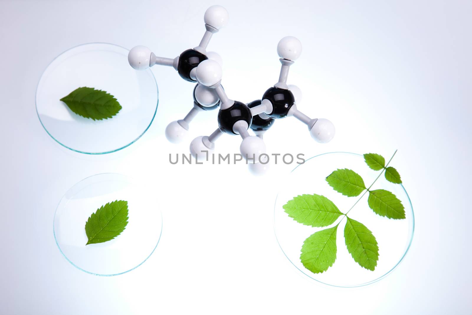 Laboratory glassware, genetically modified plant