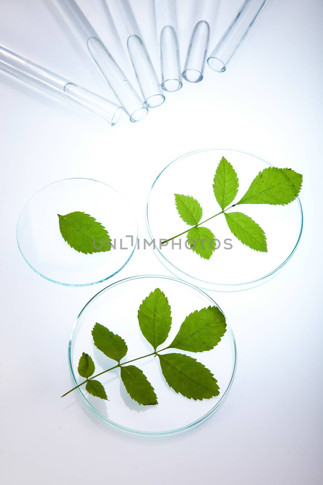 Chemical laboratory glassware, bio organic modern concept