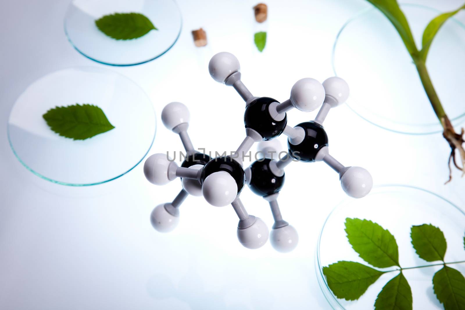Laboratory glassware, genetically modified plant