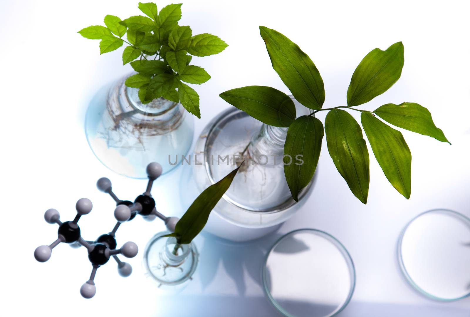 Laboratory glassware, bio organic modern concept