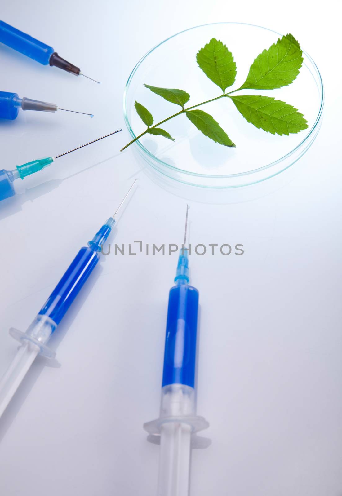 Laboratory glassware, bio organic modern concept