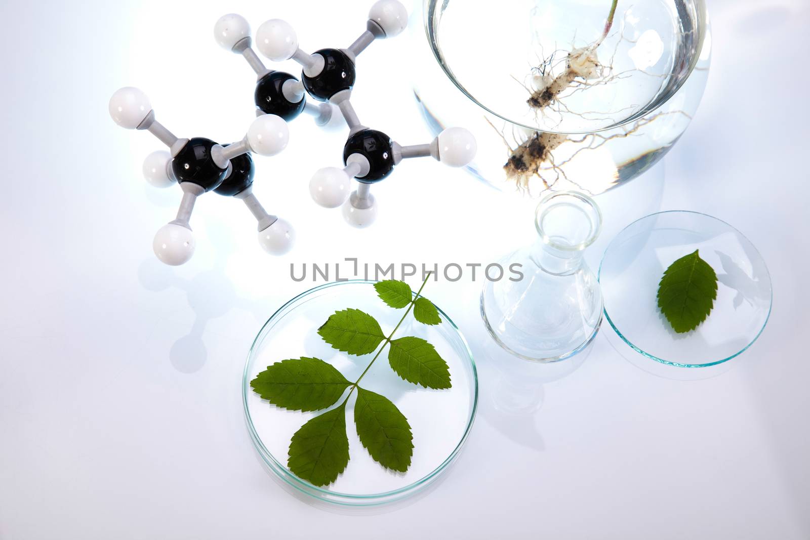 Laboratory, bio organic modern concept