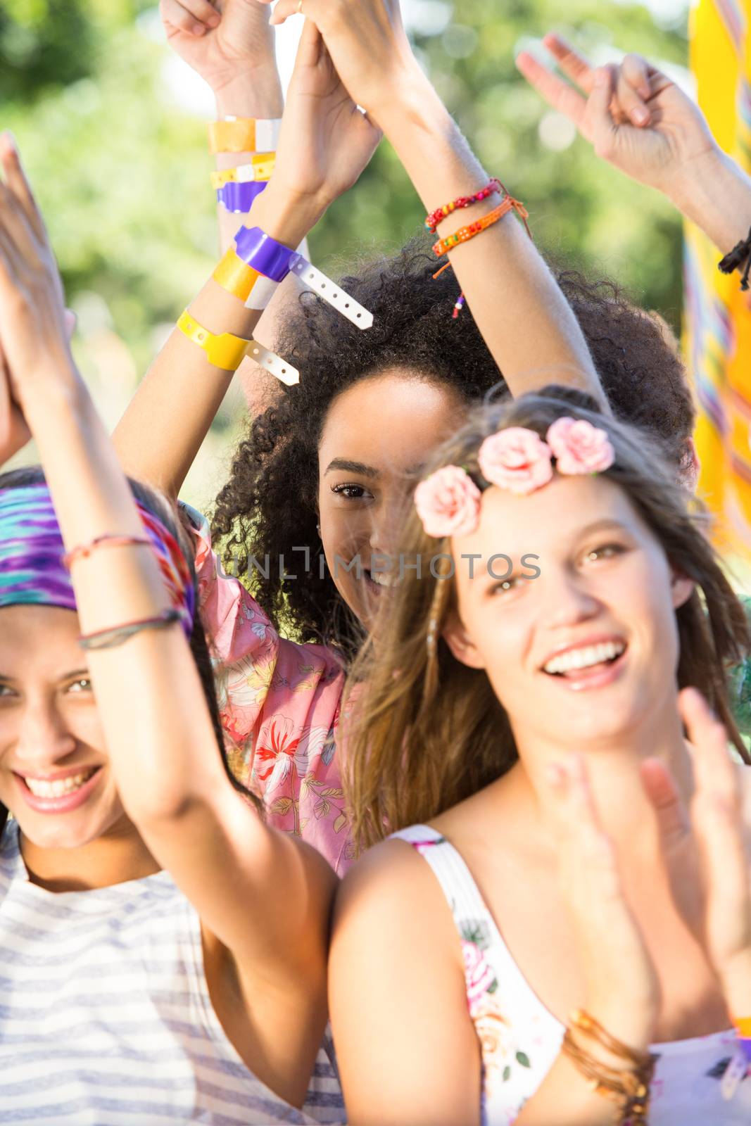 Excited music fans at festival on a summers day