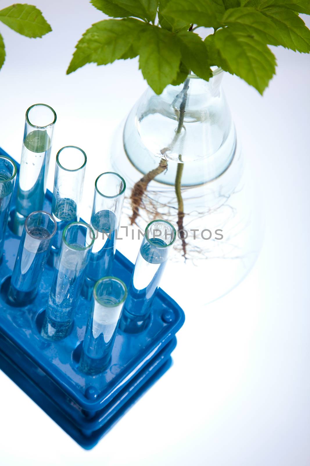 Laboratory pipette, bio organic modern concept