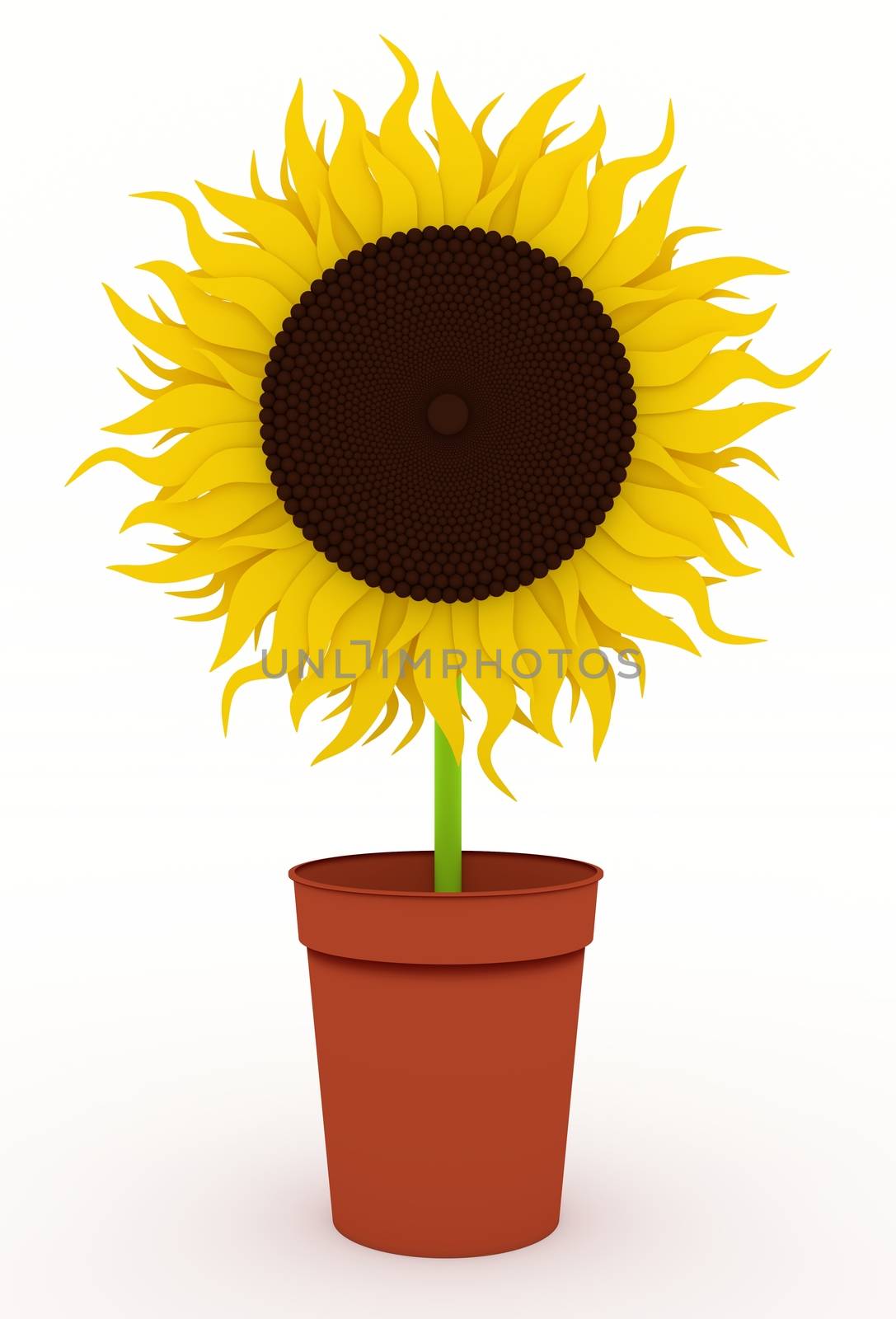 Illustration of a single Sunflower in a pot