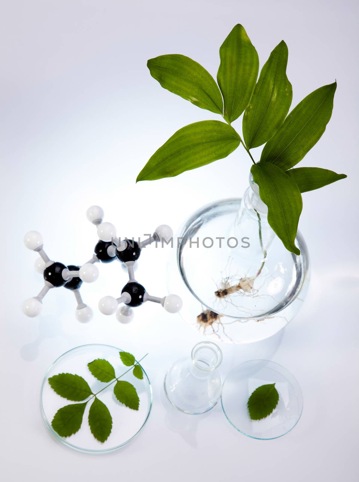 Laboratory pipette, bio organic modern concept