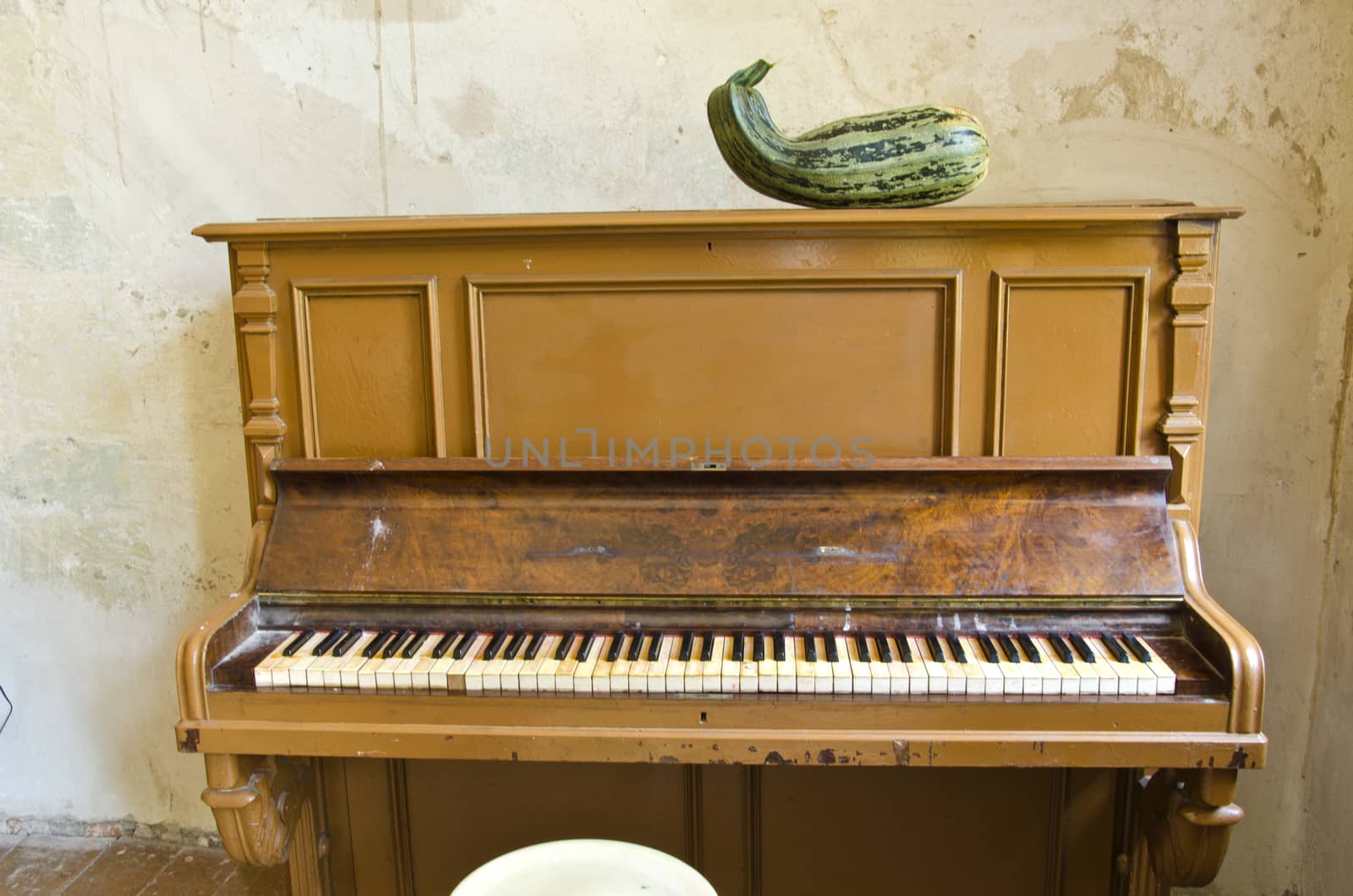 antique musical instrument piano and green zucchini courgette in old manor room