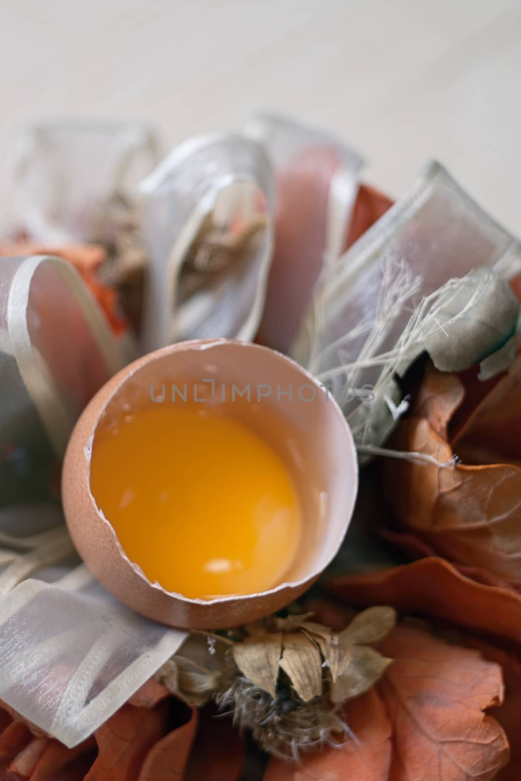 broken egg in a background of Floral Still Life