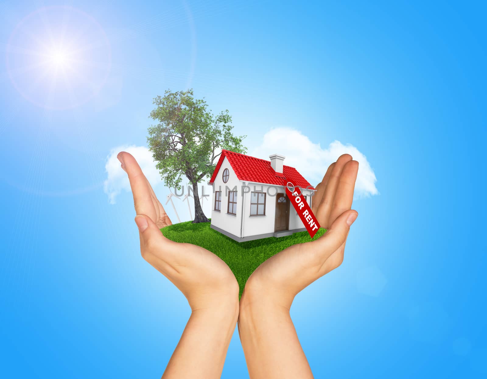 Hands holding house on green grass with label for rent, red roof, chimney, tree, wind turbine. Background clouds, blue sky by cherezoff