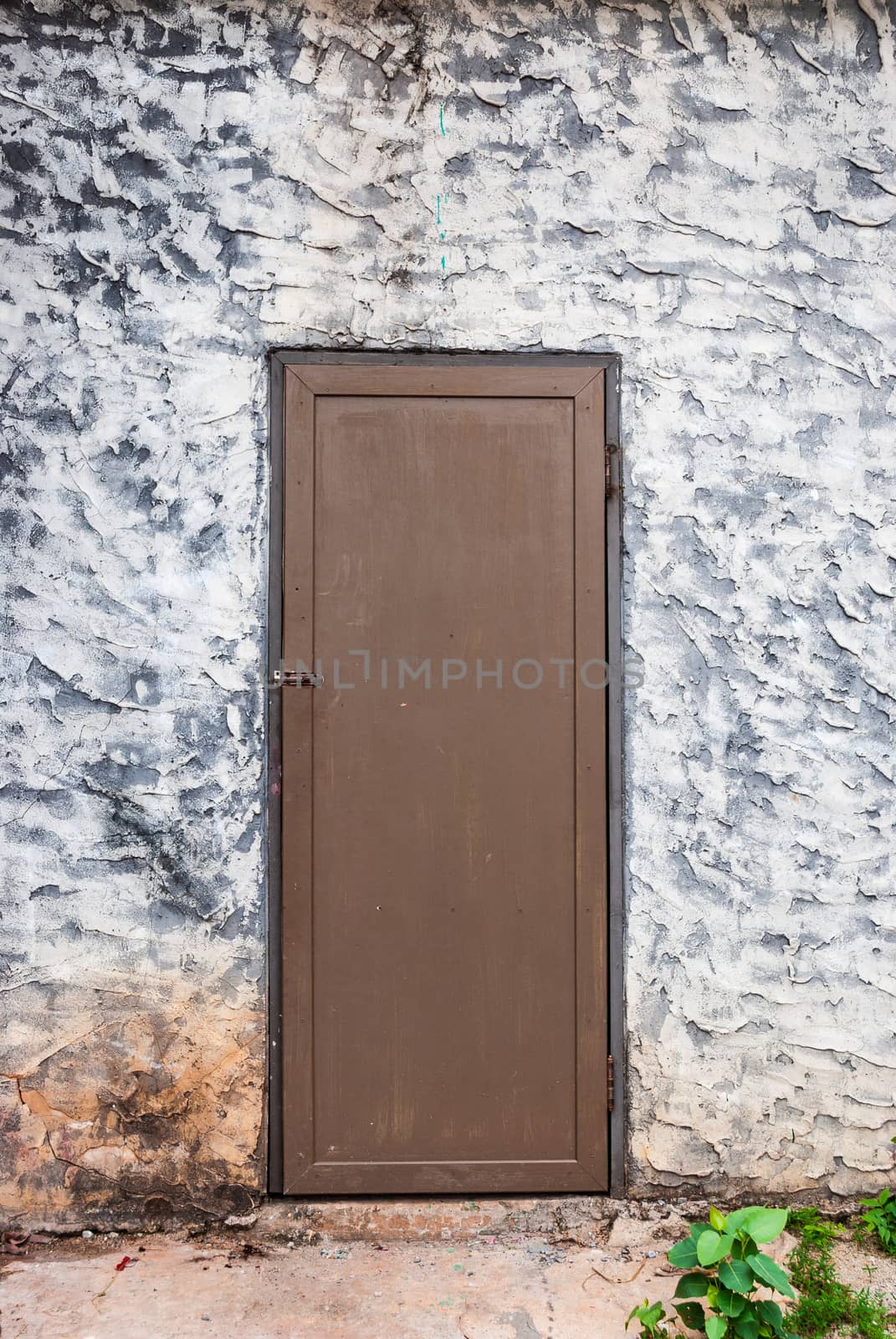 Rough Concrete Wall with Wood Door.