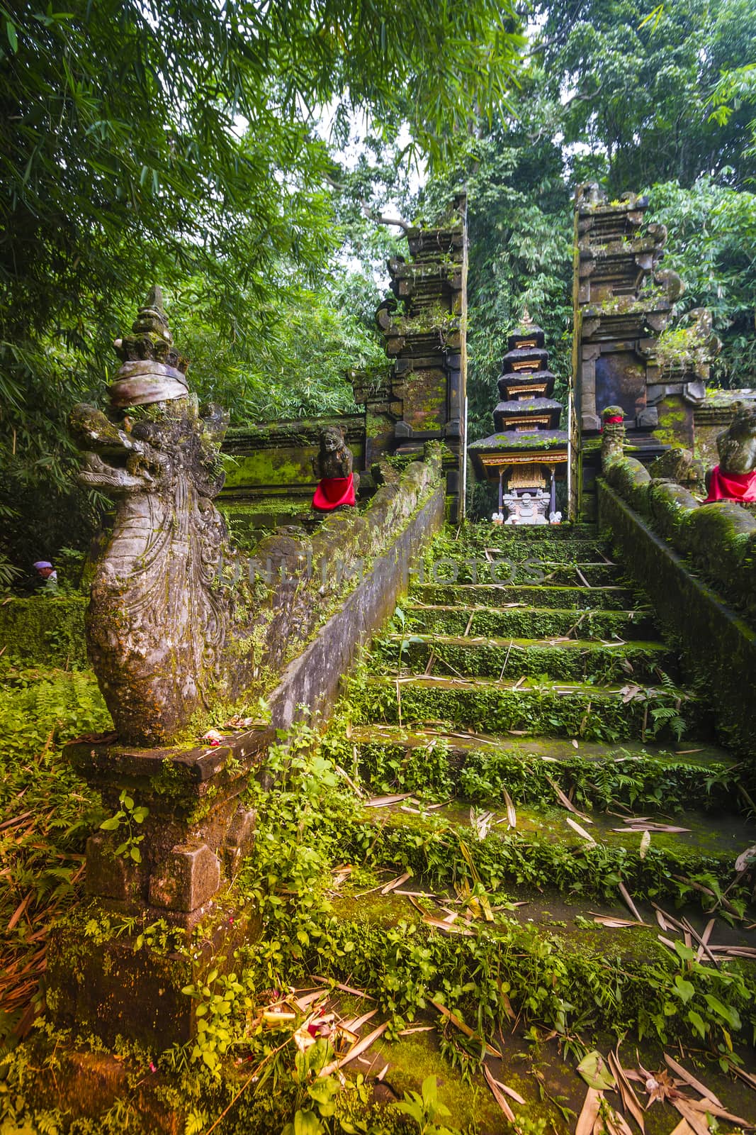 Traditional Hindu Bali Temple in Jungle near Ubud Indonesia