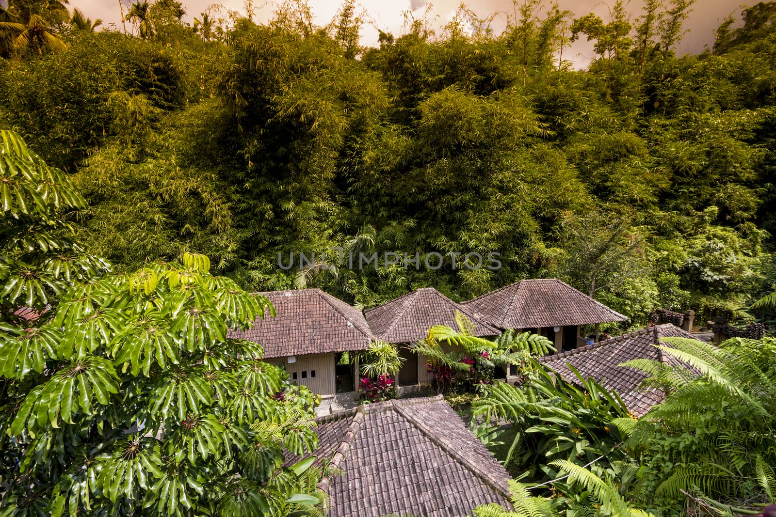 Traditional village in the Bamboo Forest of Bali