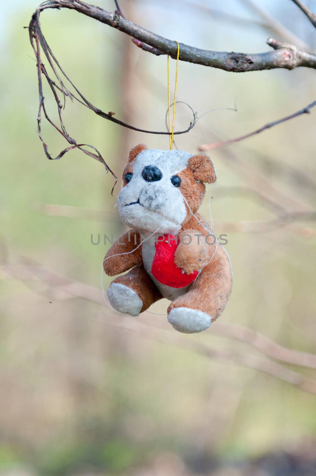 Vintage toy dog, stuffed with straw, isolated on green background.