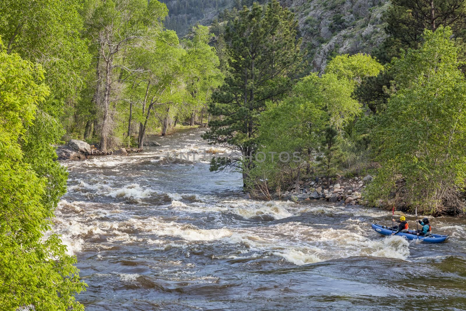 FORT COLLINS, COLORADO, USA - JUNE 4, 2011: Kayakers floating over Maddog Rapid on Cache la Poudre River west of Fort Collins, Colorado as the snow pack in the high country begins to melt.