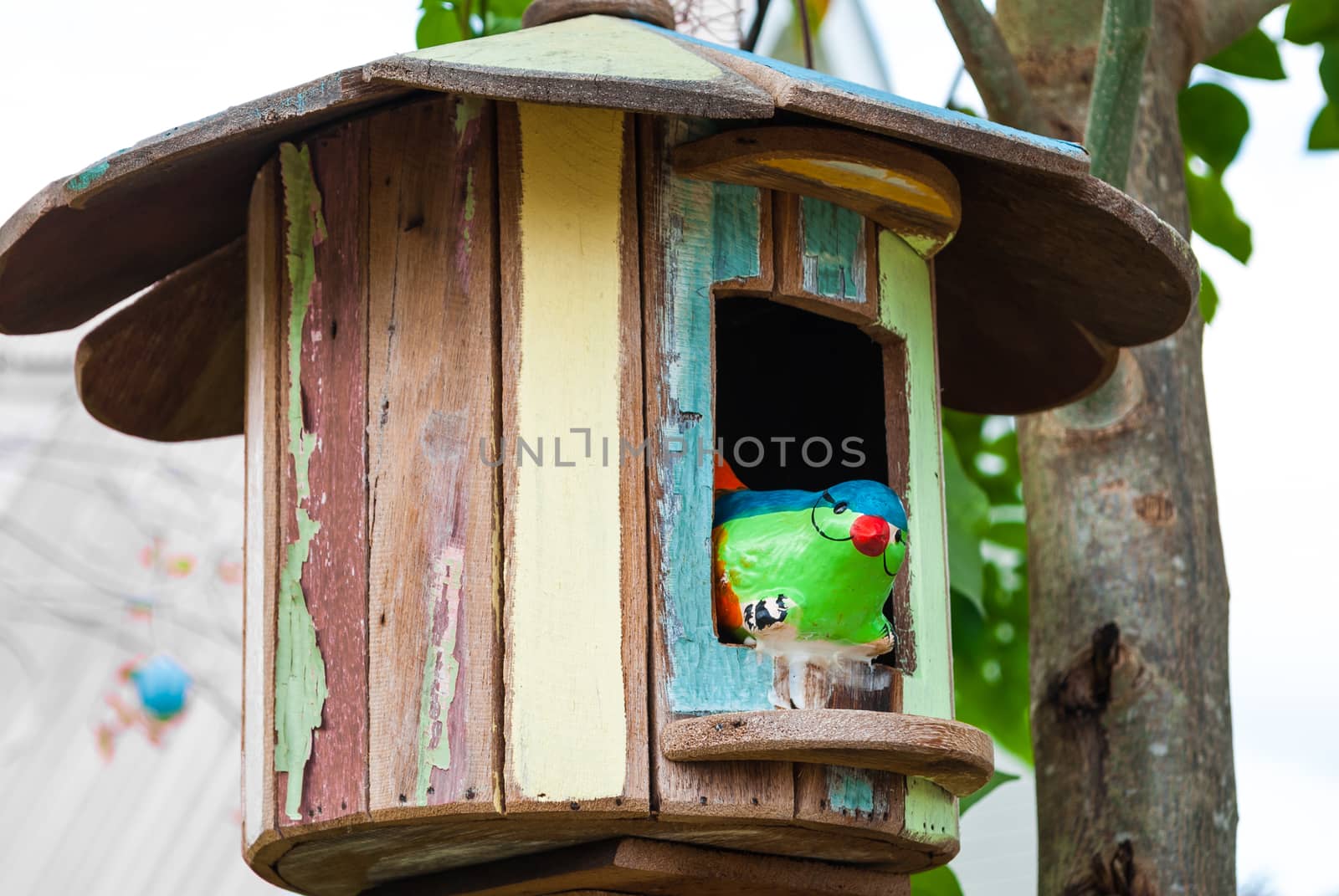 Bird Doll in Wood House.