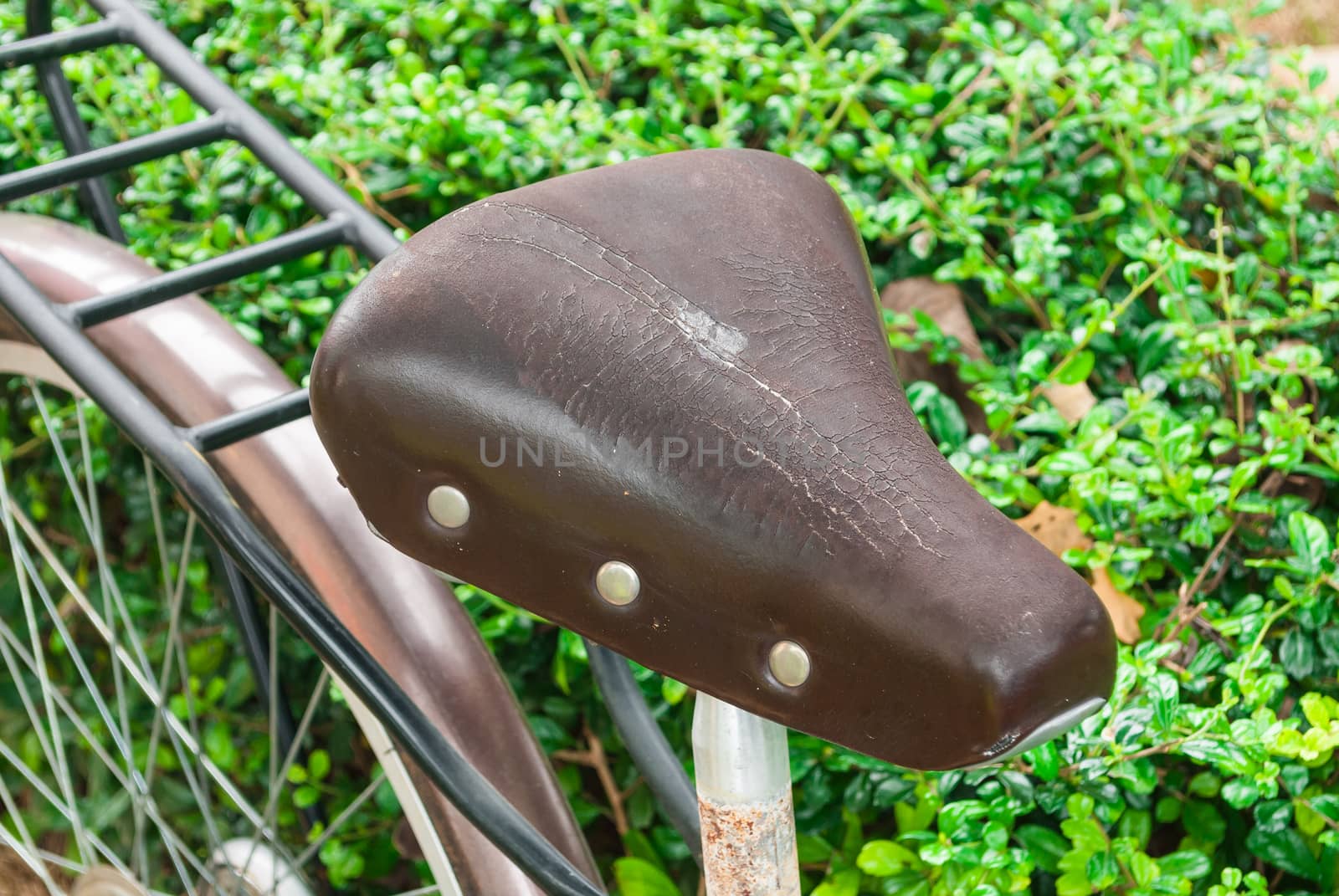 Old Leather Bicycle Saddle.