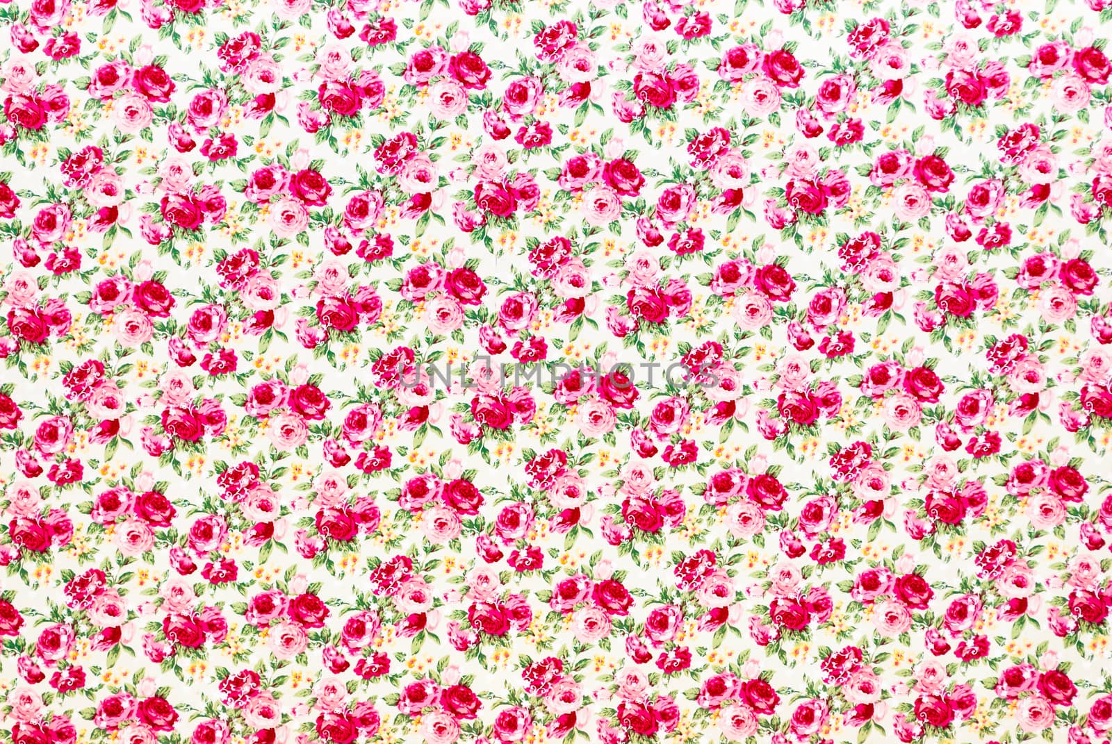 Red and Pink Roses Background/ Texture.