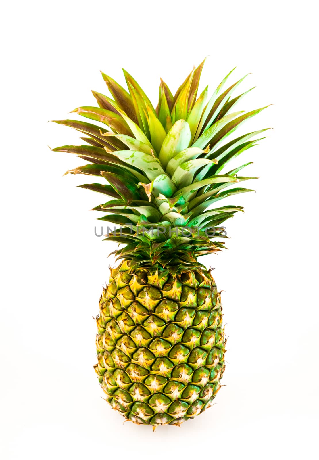 Perfect Pineapple, Isolated.