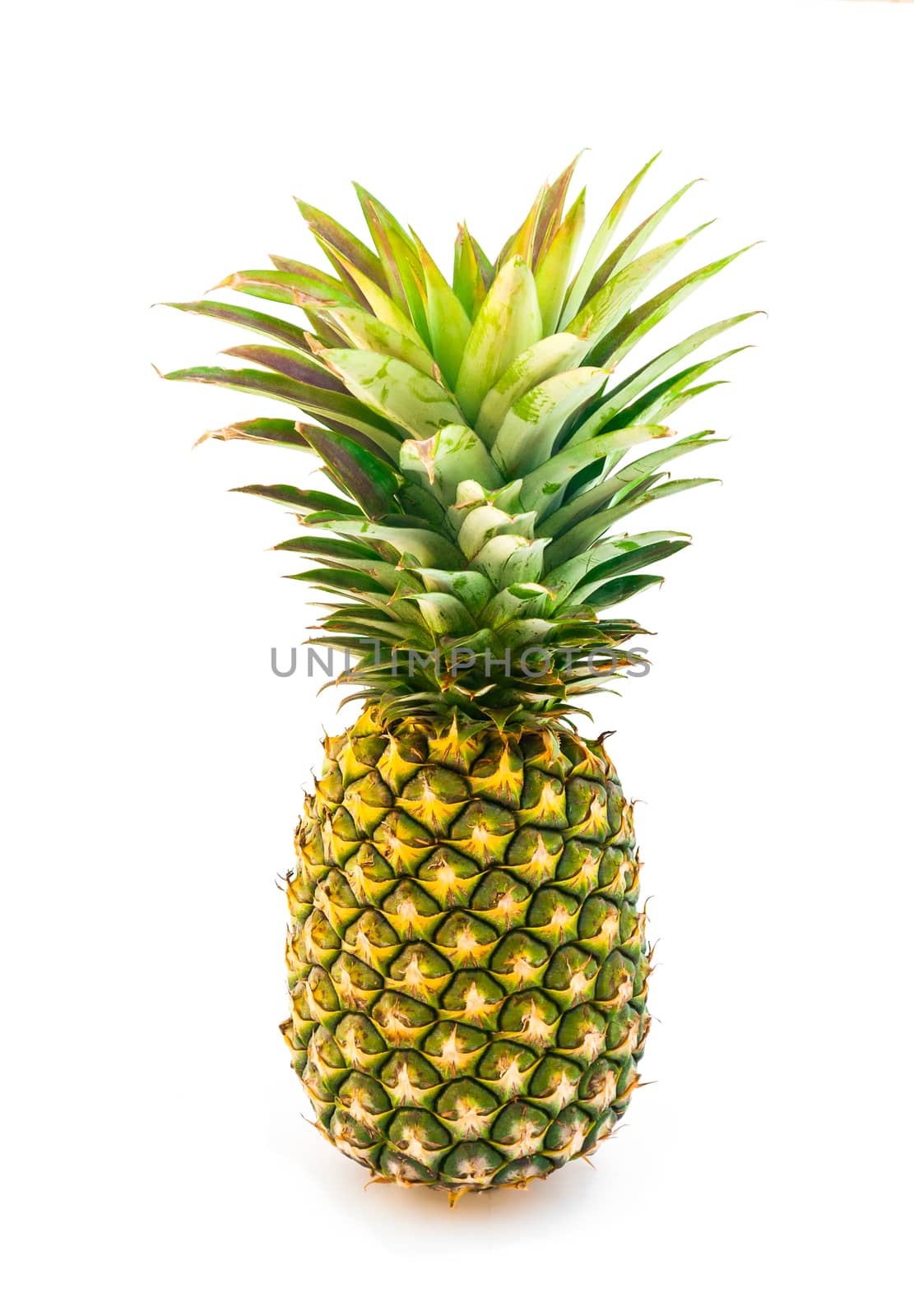 Perfect Pineapple, Isolated.