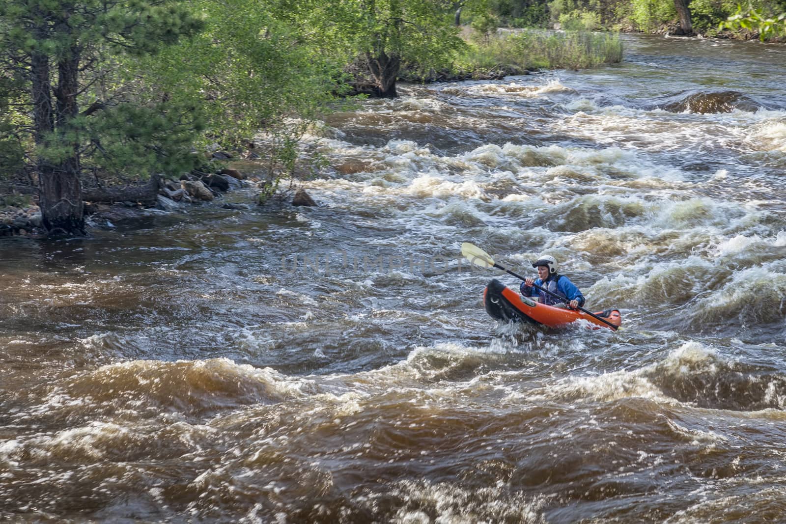 FORT COLLINS, COLORADO, USA - JUNE 4, 2011: Female kayaker paddling inflatable boat over Maddog Rapid on Cache la Poudre River west of Fort Collins, Colorado as the snow pack in the high country begins to melt.