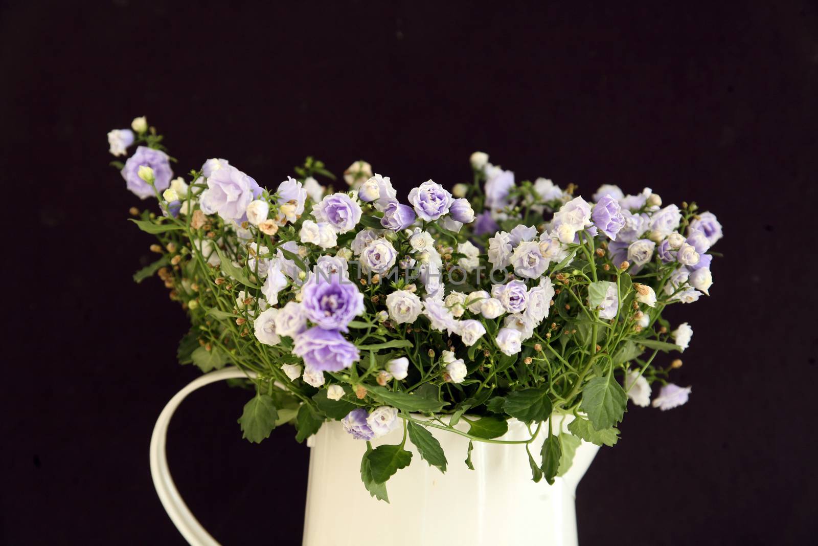 Bouquet of wild flowers in a jug