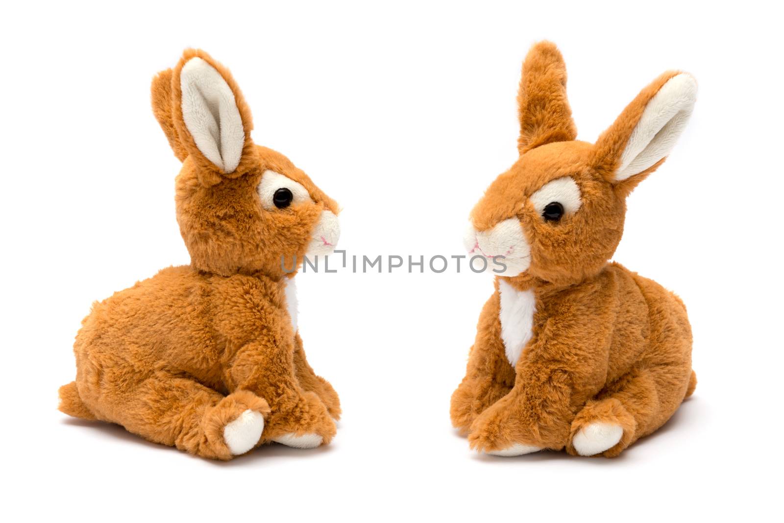 rabbit toy isolated on white by DNKSTUDIO