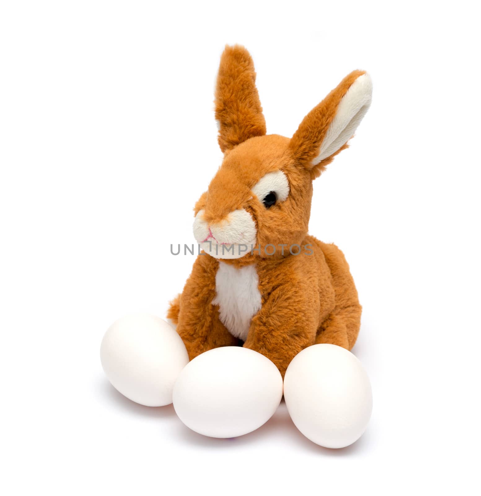 Easter rabbit and egg. Isolated on a white background.