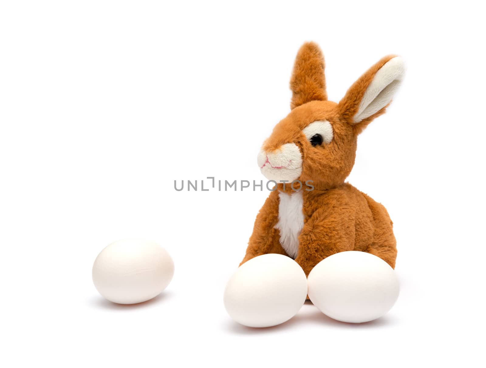 Easter rabbit and egg. Isolated on a white background.