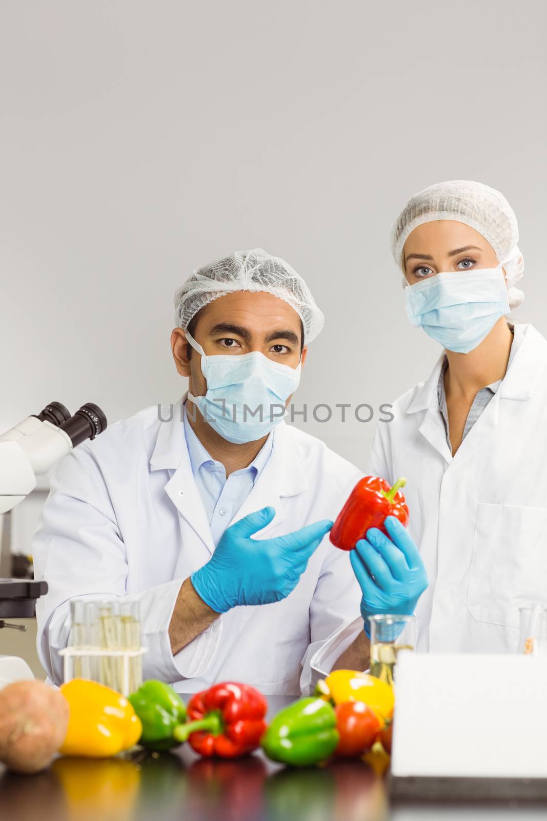 Food scientists looking at a pepper by Wavebreakmedia