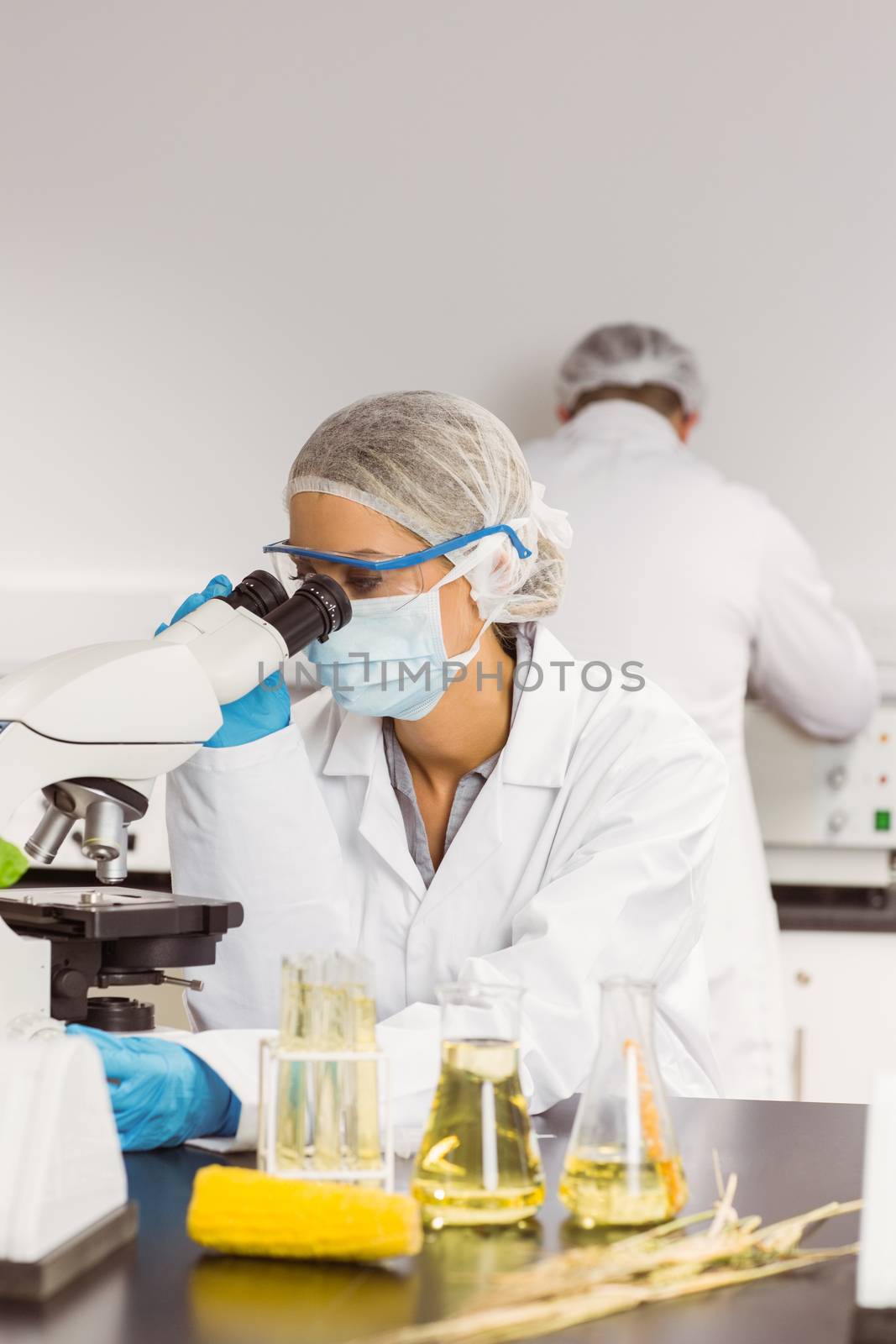 Food scientist using the microscope at the university