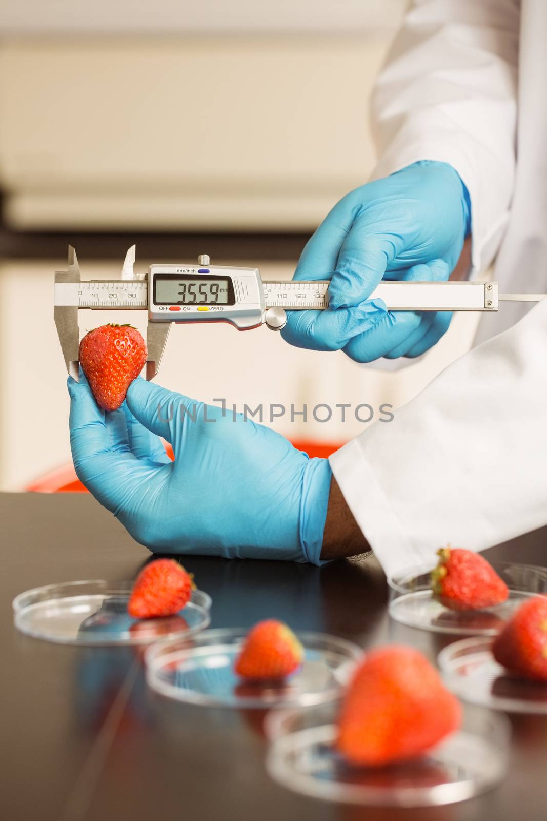 Food scientist measuring a strawberry by Wavebreakmedia