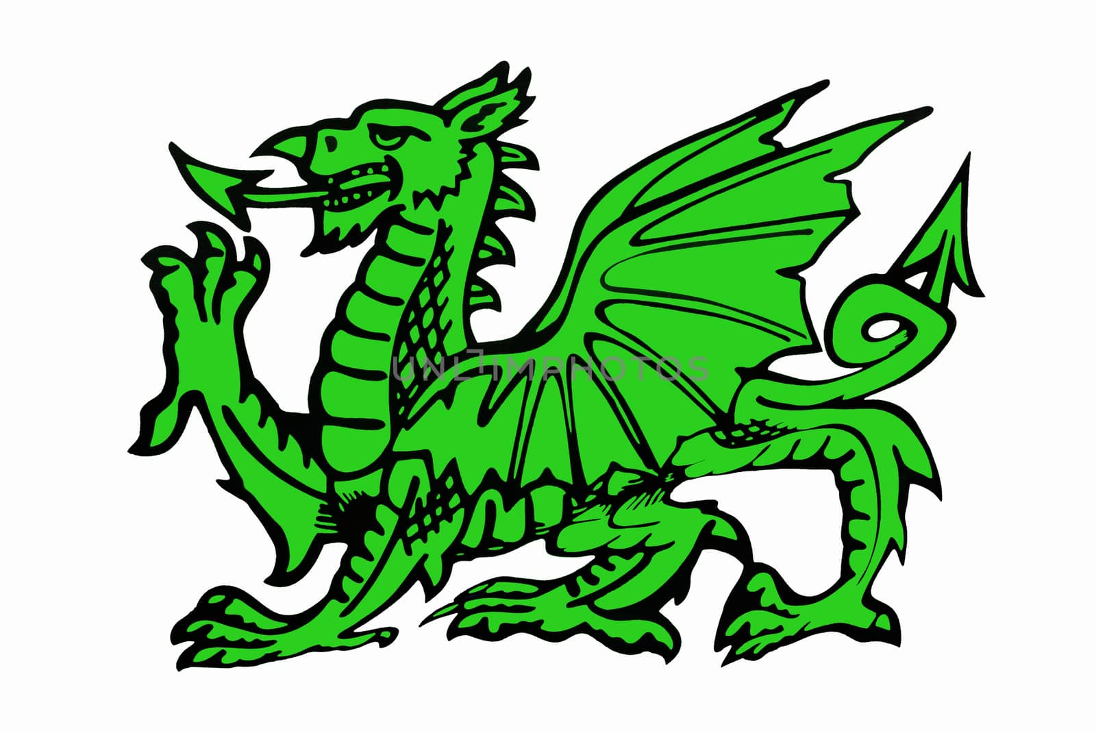 The green dragon of Wales - The Welsh Dragon appears on the national flag of Wales (in red). The flag is also called Y Ddraig Goch. The oldest recorded use of the dragon to symbolise Wales is in the Historia Brittonum, written around AD 829.