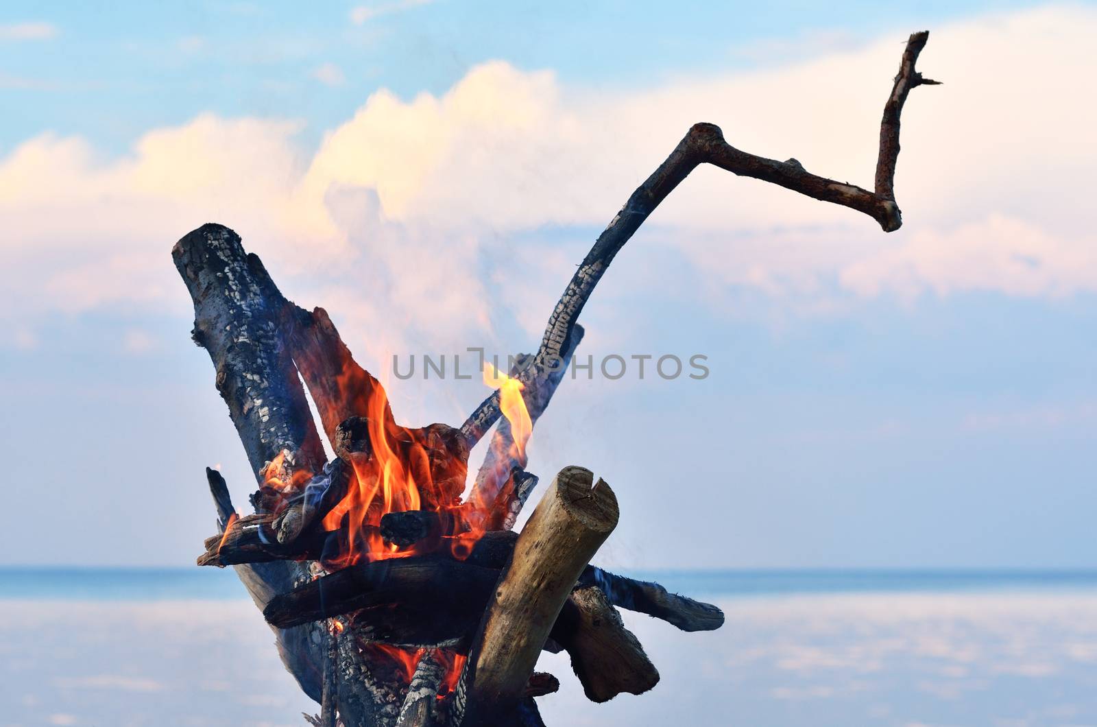 Burning firewood on the seashore