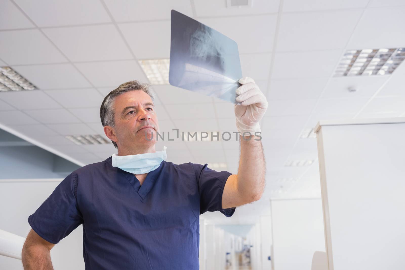 Dentist examining a x-ray attentively in dental clinic