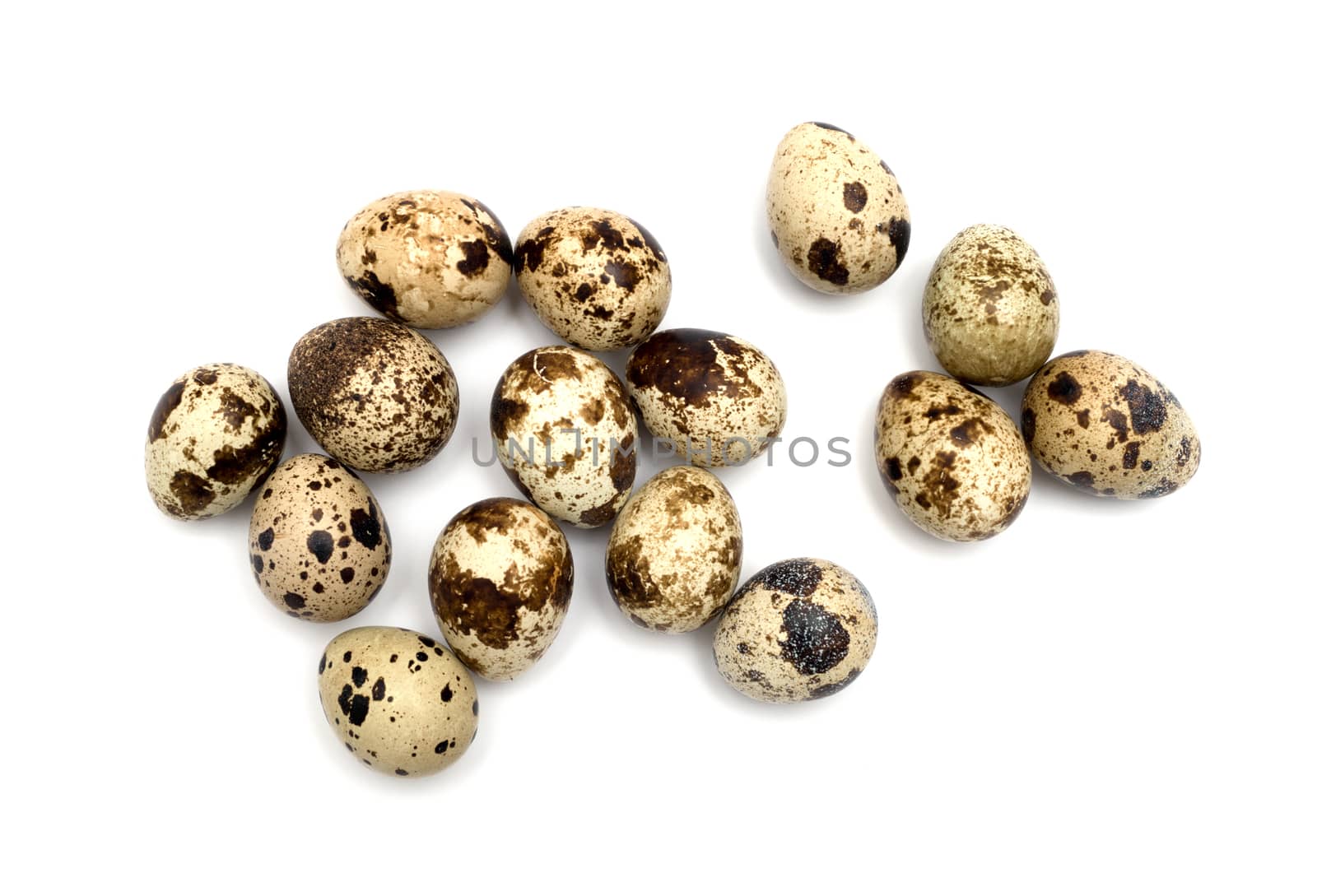 Quail eggs isolated on white background. by DNKSTUDIO