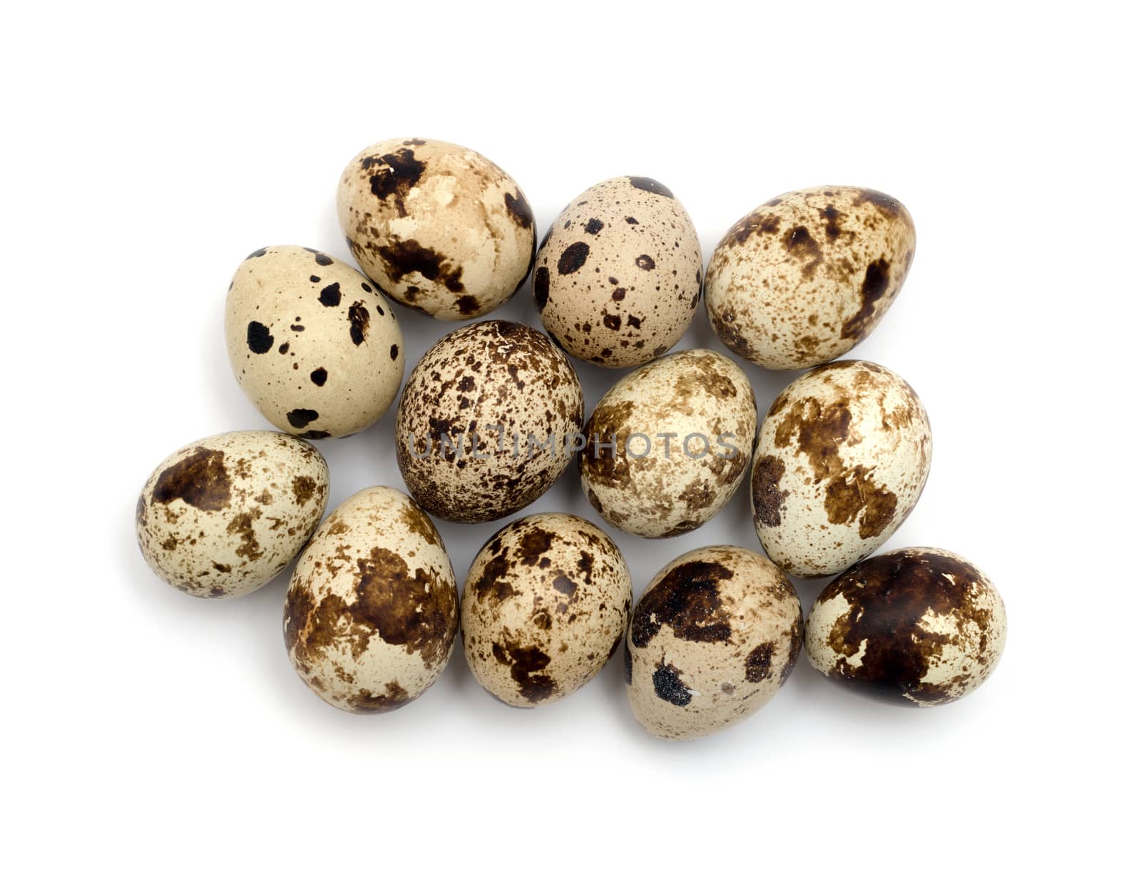 Quail eggs isolated on white background. by DNKSTUDIO