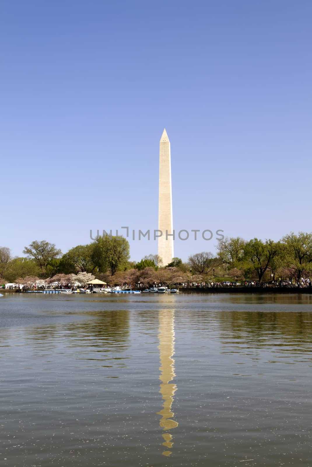 Washington Monument and the tidal basin in Washington D.C.