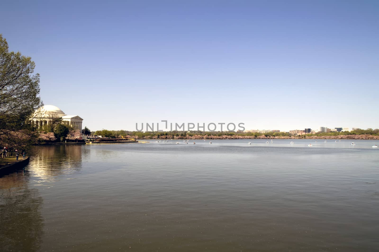 A view of the Tidal Basin with its landmarks in Washington DC