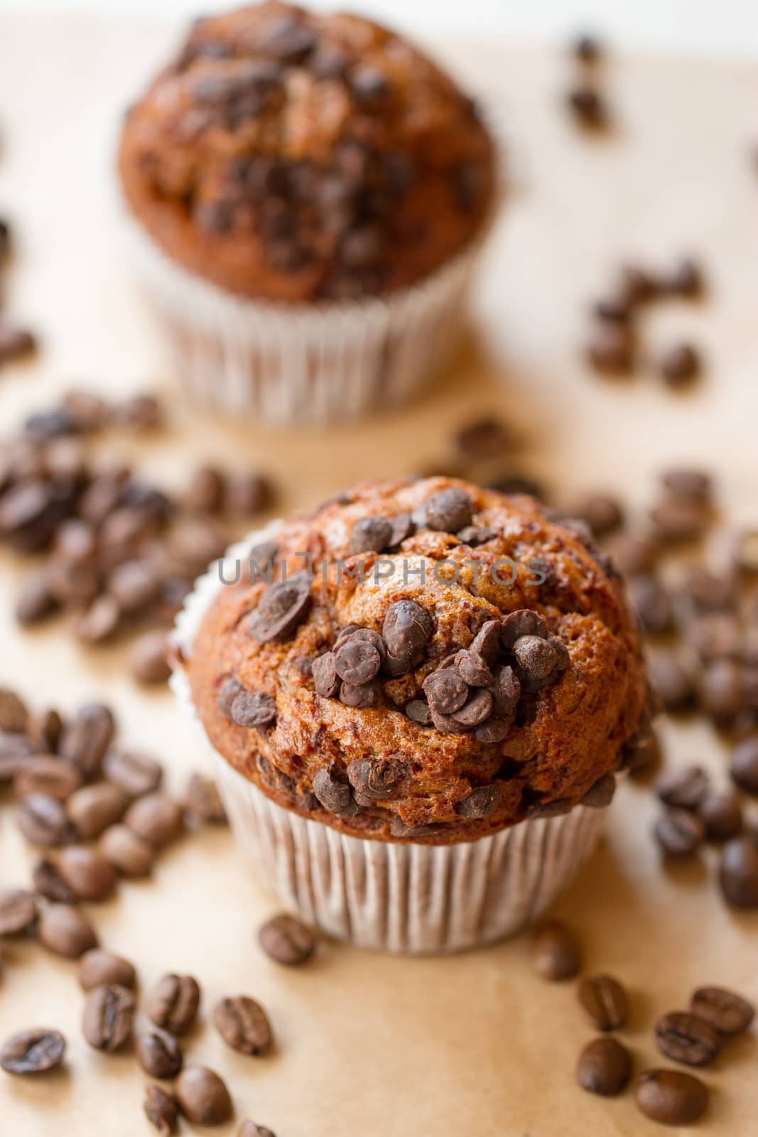 two chocolate muffins with a coffee beans