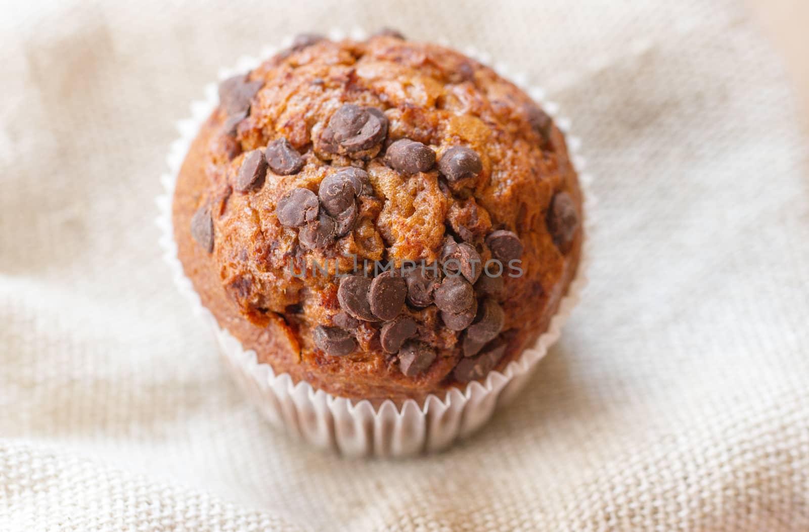 Homemade dark muffin with a chocolate chips