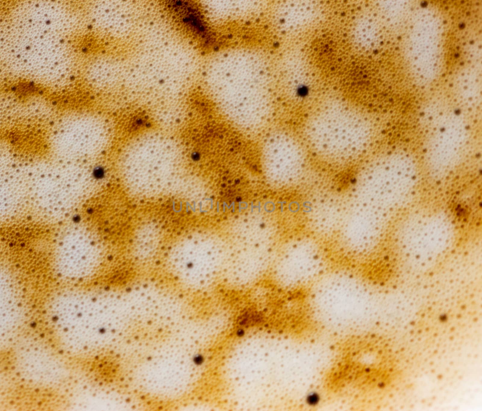 Foam from the latte. Horizontally. top view