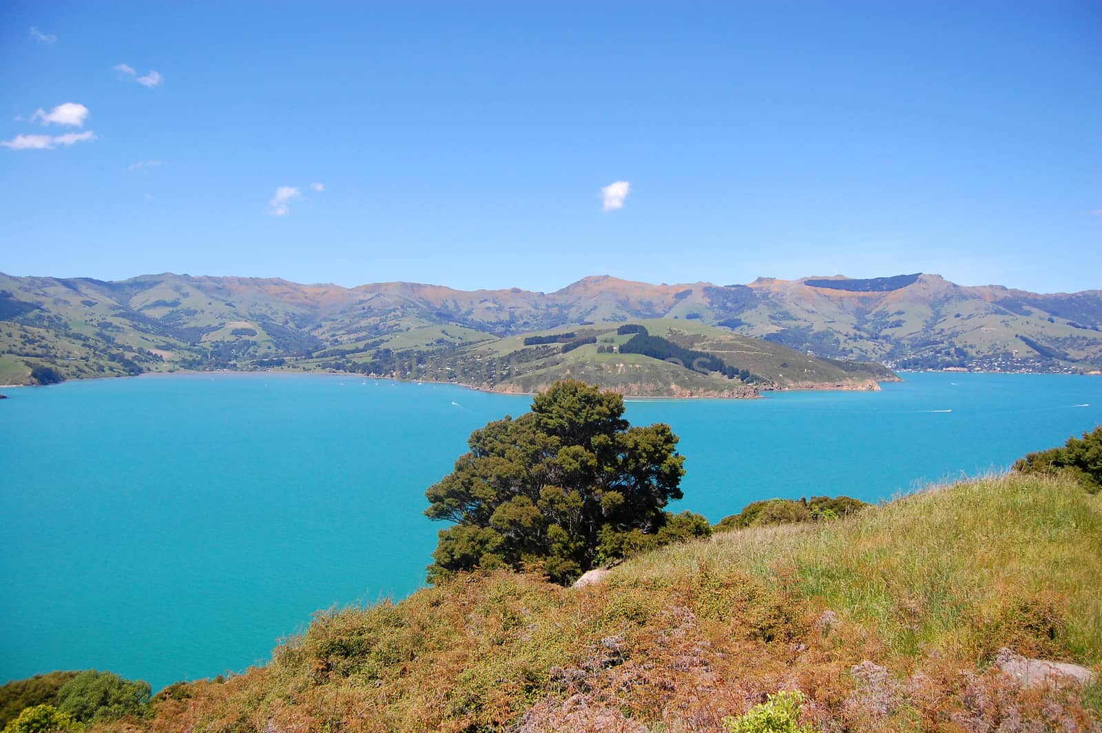 Sea bay view from hill, Akaroa, New Zealand