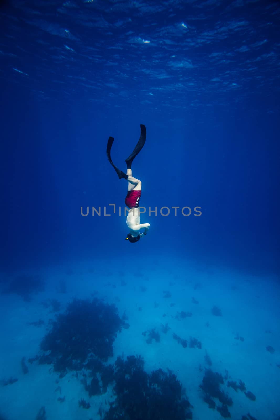 Underwater image of a Freediver with fins by aetb