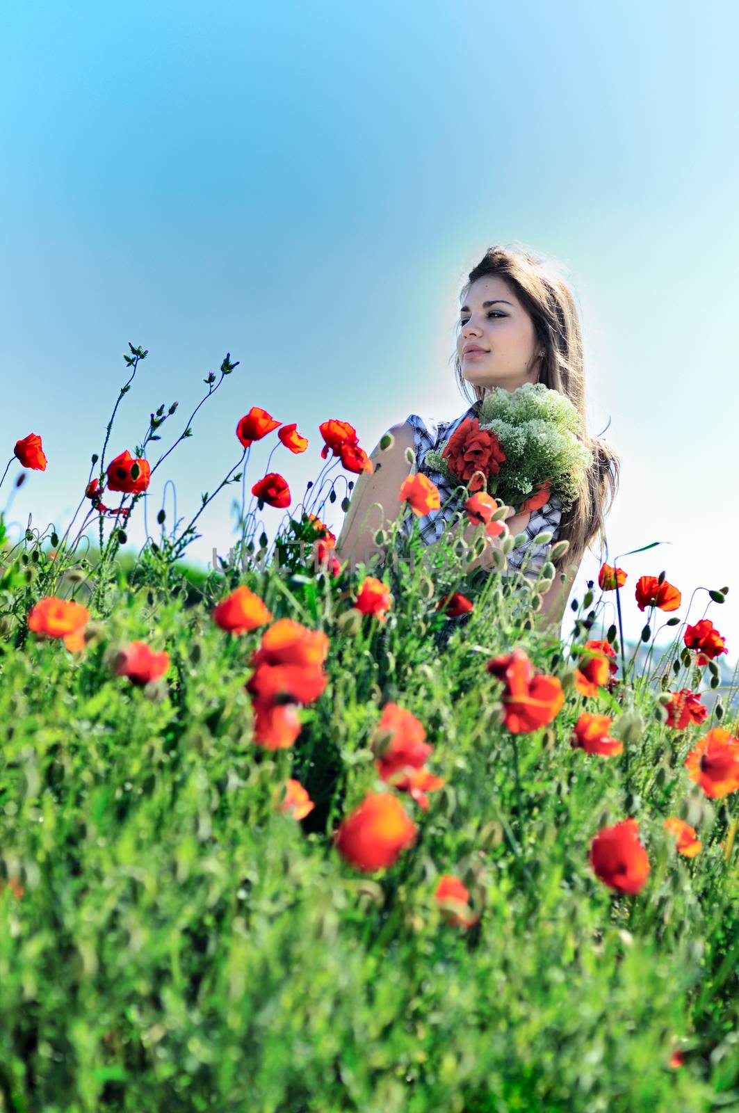 beautiful girl with long hair sitting in the poppy field 