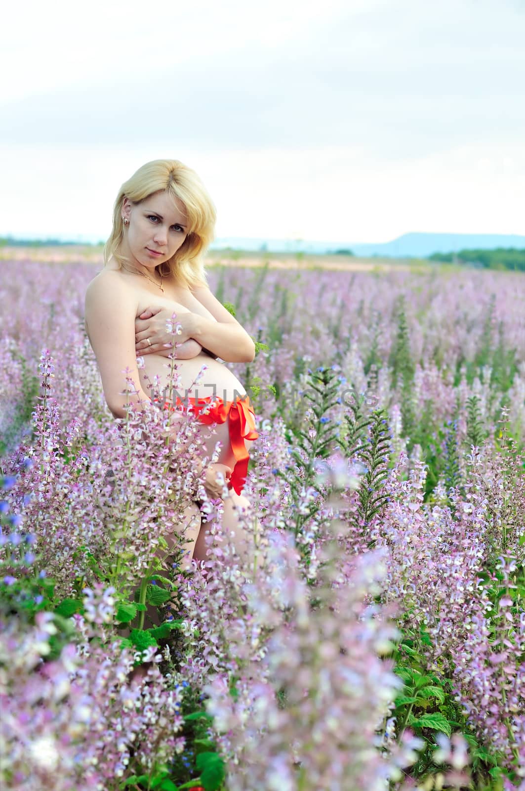 beauty blonde pregnant woman in field with red belt on the belly 