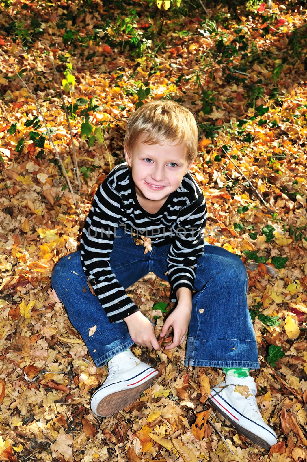 boy sitting on the yellow maple leaves in the forest. 