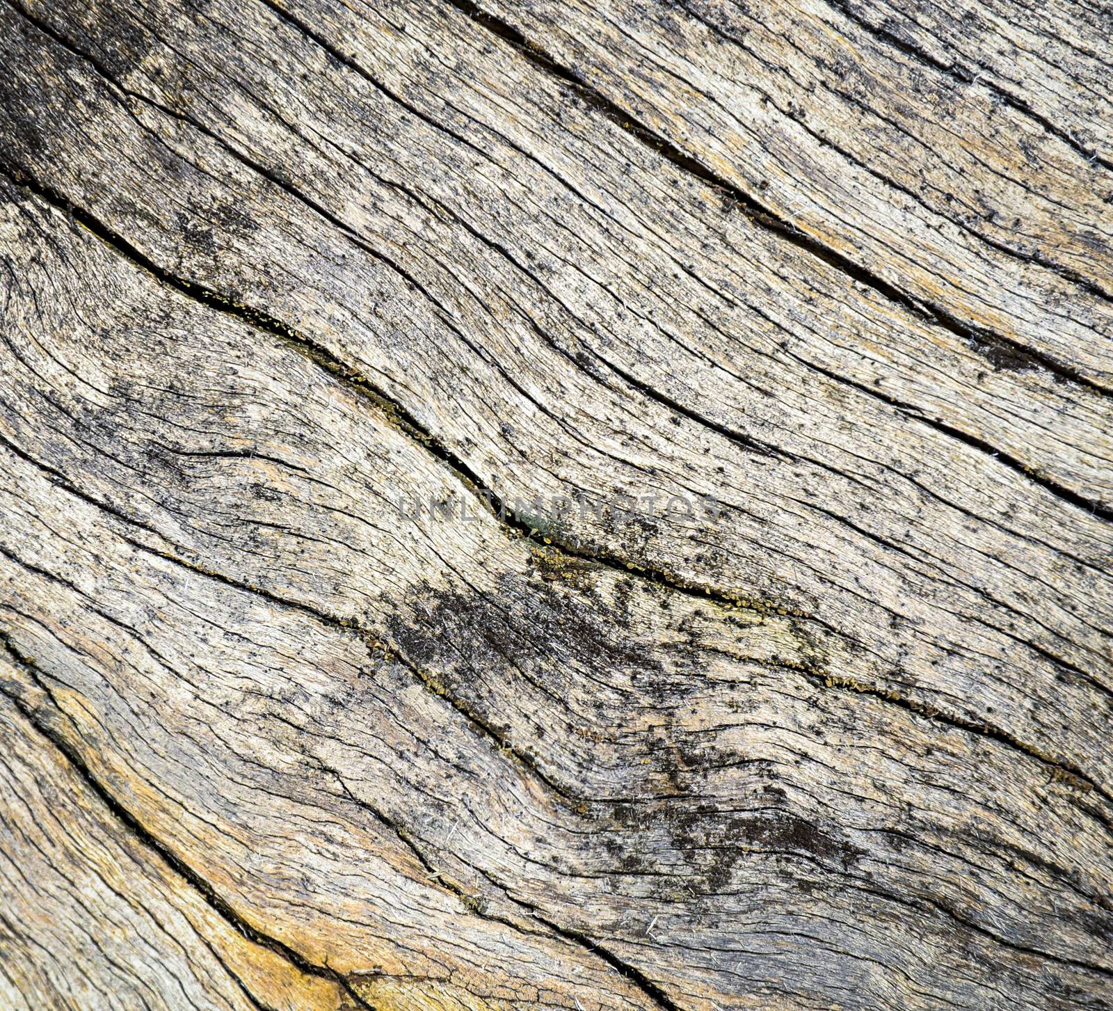 background or texture old wood light brown with cracks
