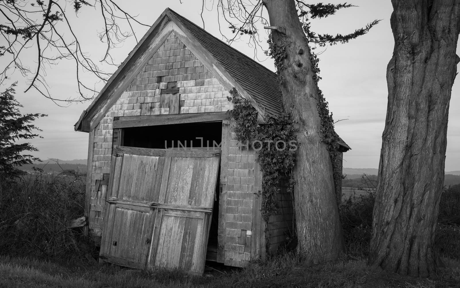 Image of an old barn. Taken in Northern California.