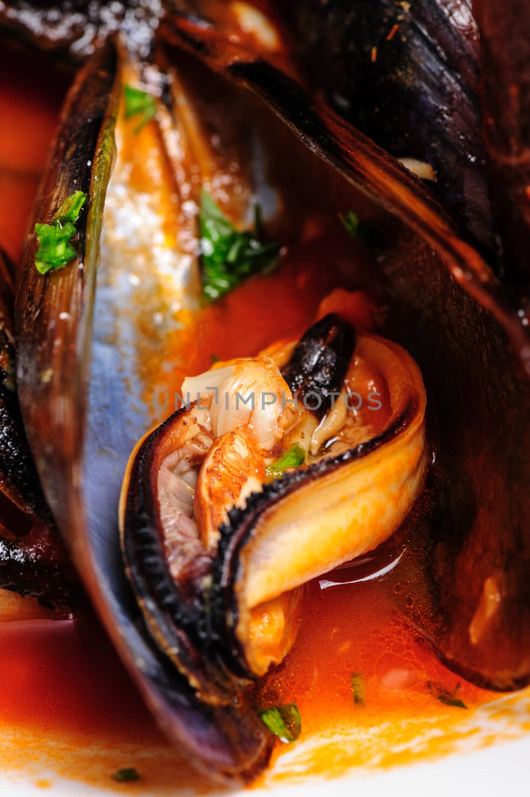 Macro shot of mussels prepared in italian rustic style with wine and parsley